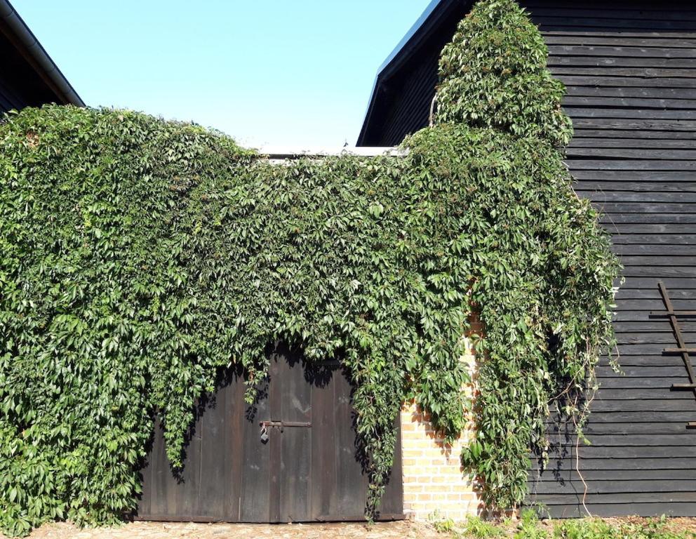 Ein Bett Im Kornfeld - Haus Fernweh - Innenpool Schonfeld  Luaran gambar